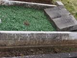 image of grave number 795060